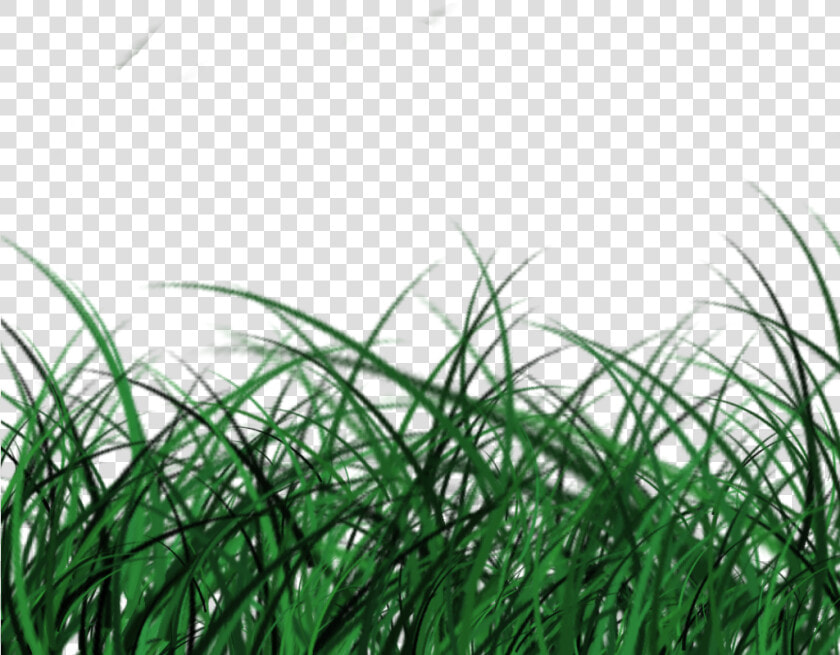 Posted By Jurassic Kart At   Sweet Grass  HD Png DownloadTransparent PNG