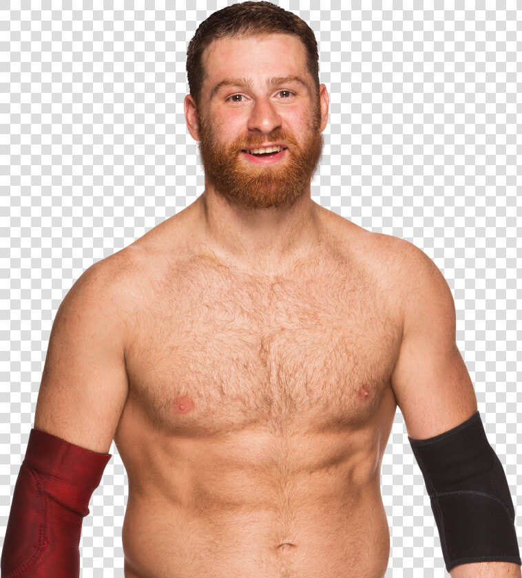 Clip Art Sami Zayn Wwe Nxt   Sami Zayn Png  Transparent PngTransparent PNG