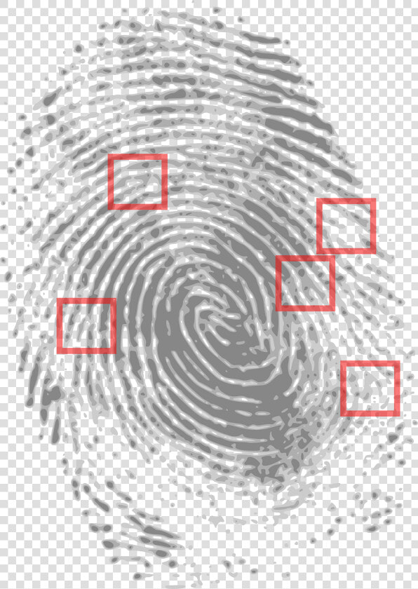 Prints Clipart Finger Print   Crime Scene Fingerprint Evidence  HD Png DownloadTransparent PNG