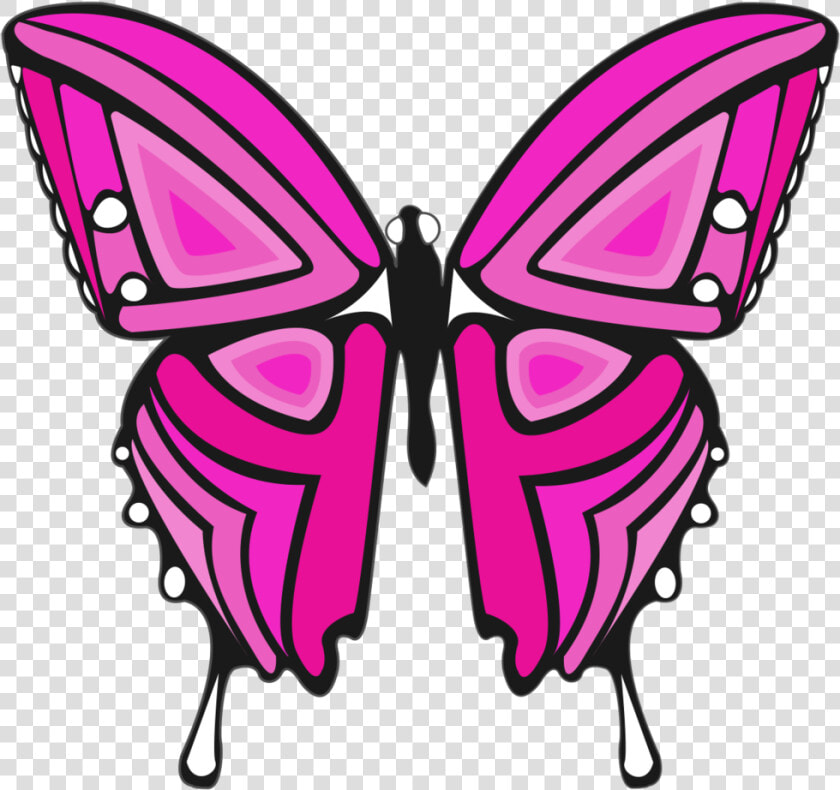   Pink And Purple Butterfly   Transparent Cartoons   Pink Purple Butterfly  HD Png DownloadTransparent PNG