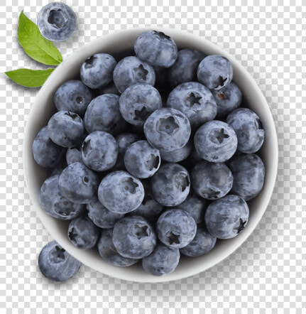 Clip Art Blueberries Mold   Lulu Hypermarket  HD Png DownloadTransparent PNG