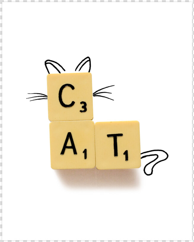 Cat Scrabble  HD Png DownloadTransparent PNG