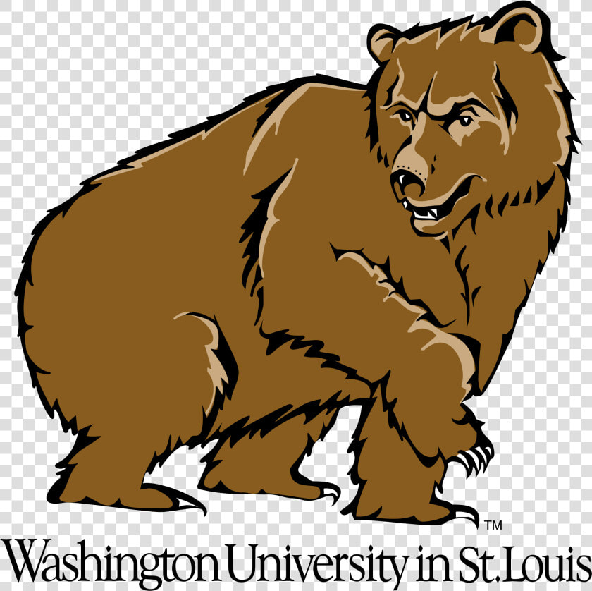 Washington University In St Louis  HD Png DownloadTransparent PNG