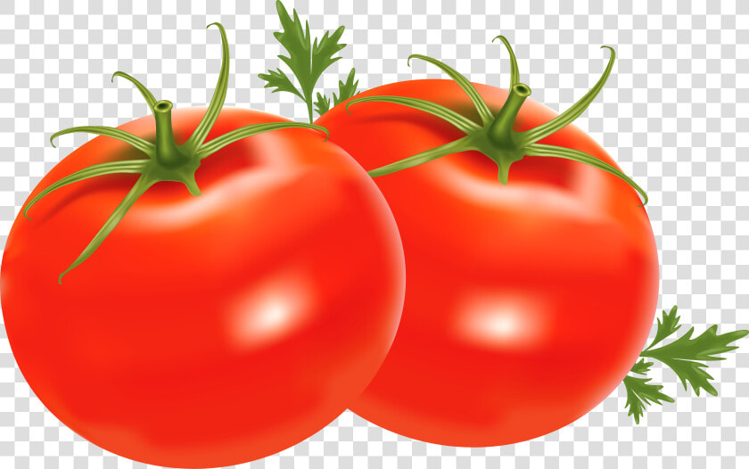 Transparent Clipart Backround   Transparent Background Tomato Clipart  HD Png DownloadTransparent PNG