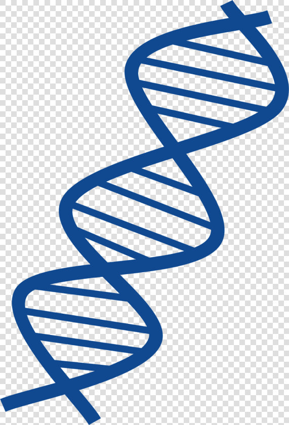 Thin And Blue Dna Transparent Image   Dna Clipart Png  Png DownloadTransparent PNG