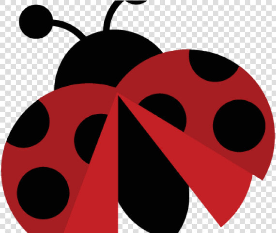 Cute Ladybug Clipart   Cute Ladybug Png  Transparent PngTransparent PNG