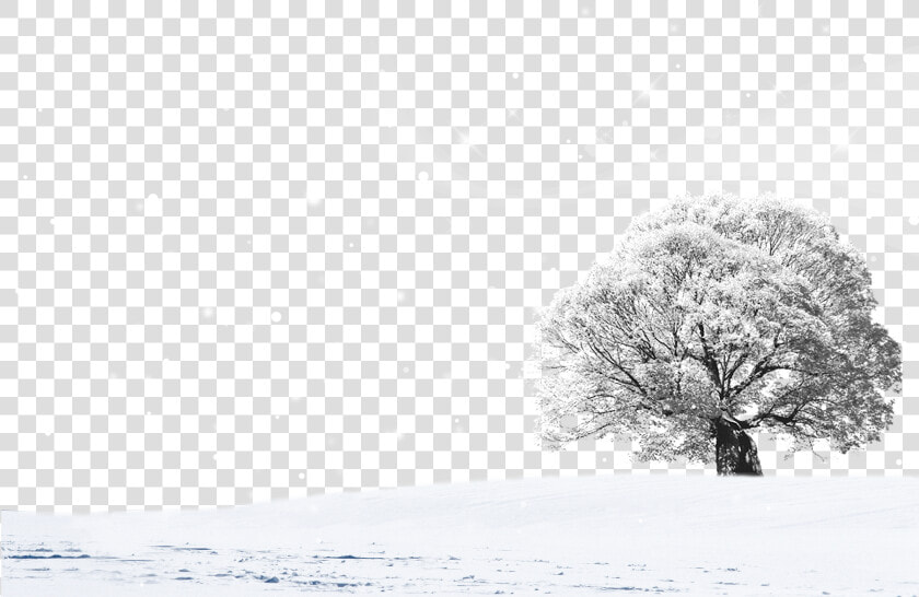 Snow Landscape Design Png Download   Snow  Transparent PngTransparent PNG