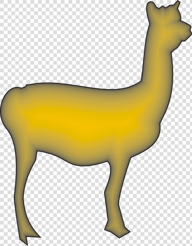 Llama Animal Camelid Free Photo   Camelidos Png  Transparent PngTransparent PNG