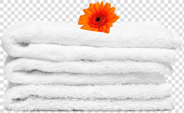 Austin Linen Service   Barberton Daisy  HD Png DownloadTransparent PNG