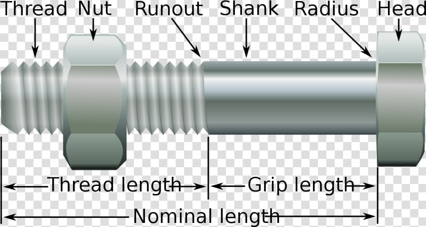 Bolts And Nuts Vector  HD Png DownloadTransparent PNG