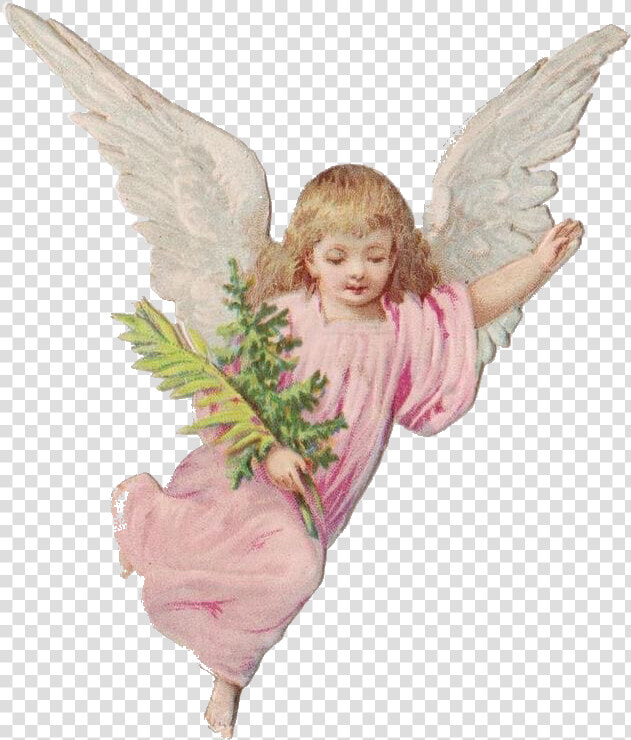  angel  angelpng  cherub  angelaesthetic  cherubaesthetic   Angel  Transparent PngTransparent PNG