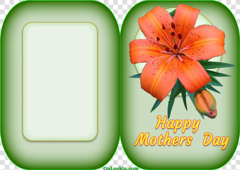 Happy Mothers Day Tiger Lily Flower A4 Card   Mother  39 s Day  HD Png DownloadTransparent PNG