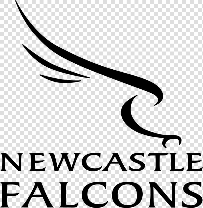 Newcastle Falcons Rugby Logo   Newcastle Falcons Logo  HD Png DownloadTransparent PNG