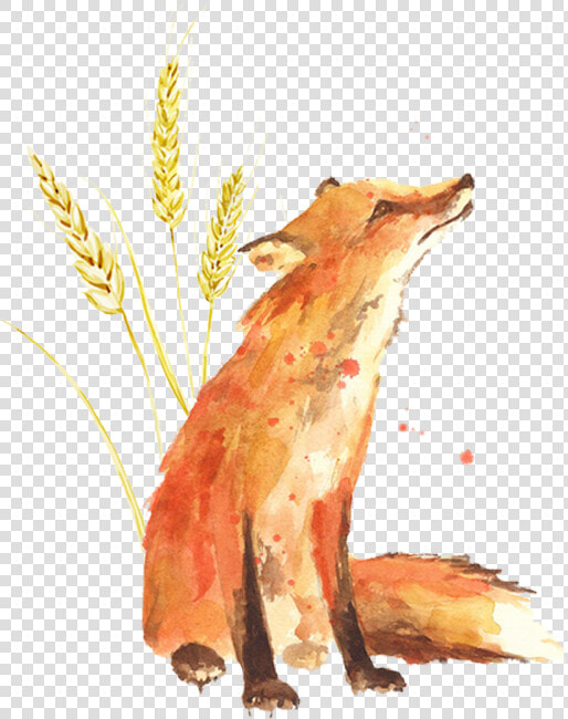 Little Prince Fox Wheat   Png Download   Fox Painting   Print From Original  Transparent PngTransparent PNG