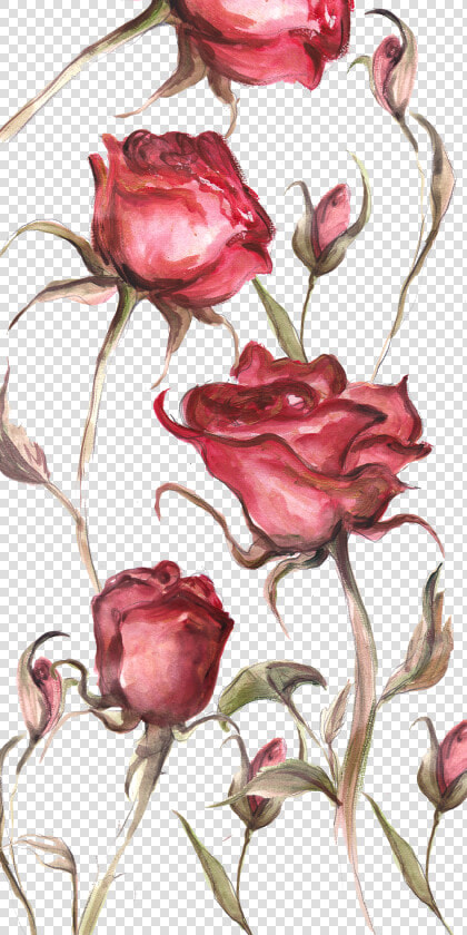 Floribunda  HD Png DownloadTransparent PNG