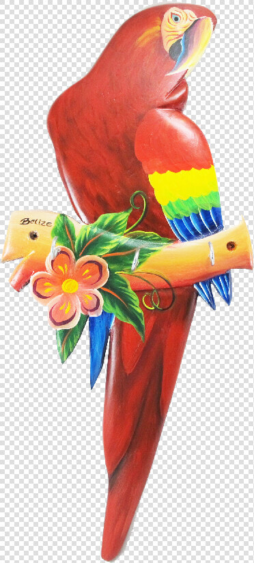 Key Holder Scarlet Macaw L   Scarlet Macaw Macaw Bird Png  Transparent PngTransparent PNG