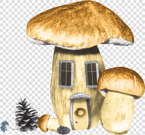 Pleurotus Eryngii  HD Png DownloadTransparent PNG