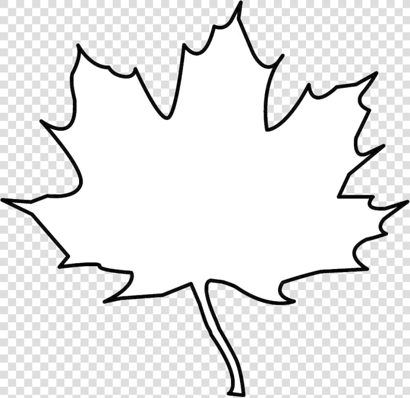 Leaf Outline Tree Clipart Free Cliparts Images On Transparent   Transparent Background Leaf Clipart Black And White  HD Png DownloadTransparent PNG