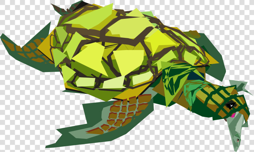 Hawaiian Sea Turtle Clipart Free The Cliparts   Turtle Colour Full Png  Transparent PngTransparent PNG