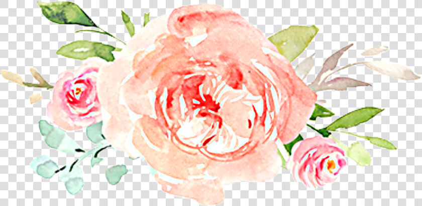  watercolor  flowers  floral  bouquet  blush  roses   Garden Roses  HD Png DownloadTransparent PNG