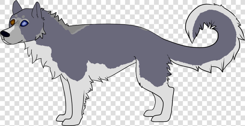 Mackenzie River Husky  HD Png DownloadTransparent PNG