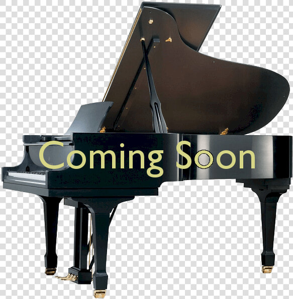 Pianos For Sale Twin Cities   Grand Piano Platinum  HD Png DownloadTransparent PNG