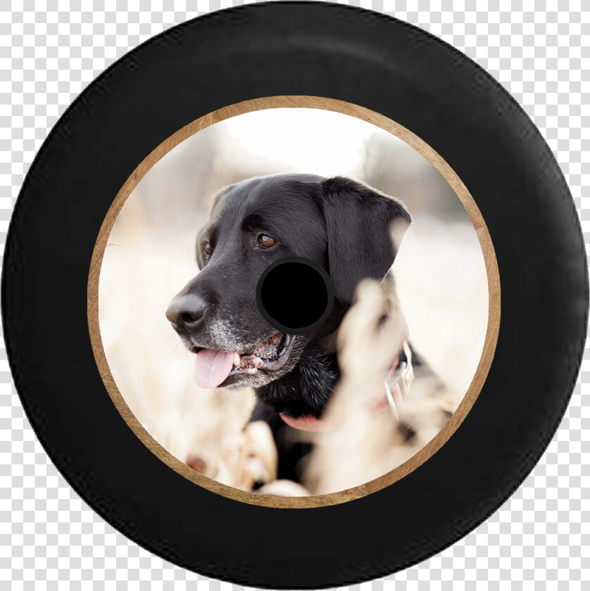 Jeep Wrangler Jl Backup Camera Black Lab Retriever   Hd Black Lab  HD Png DownloadTransparent PNG