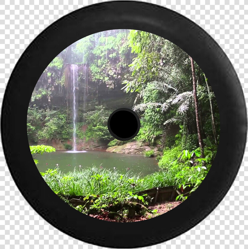 Jeep Wrangler Jl Backup Camera Jungle Rainforest Oasis   Wald Wasserfall  HD Png DownloadTransparent PNG