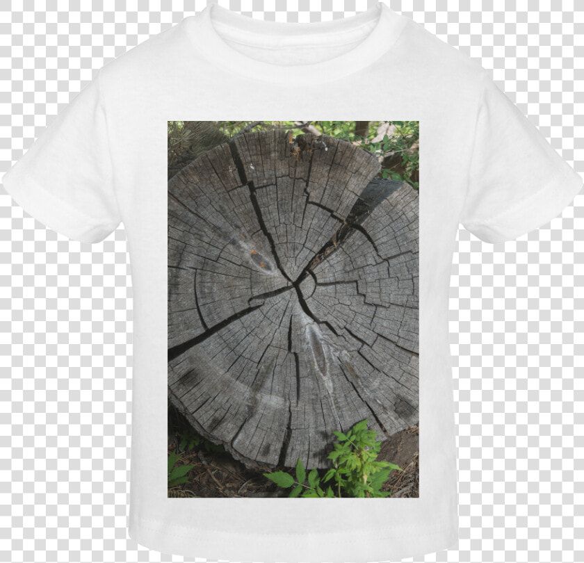 Dried Tree Stump Sunny Youth T shirt   Tree Stump  HD Png DownloadTransparent PNG