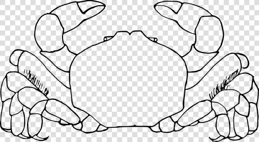 Art symmetry monochrome Photography   Crab Clip Art Black And White  HD Png DownloadTransparent PNG