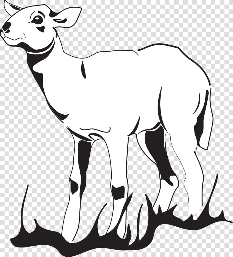 Agnello Stilizzato  HD Png DownloadTransparent PNG