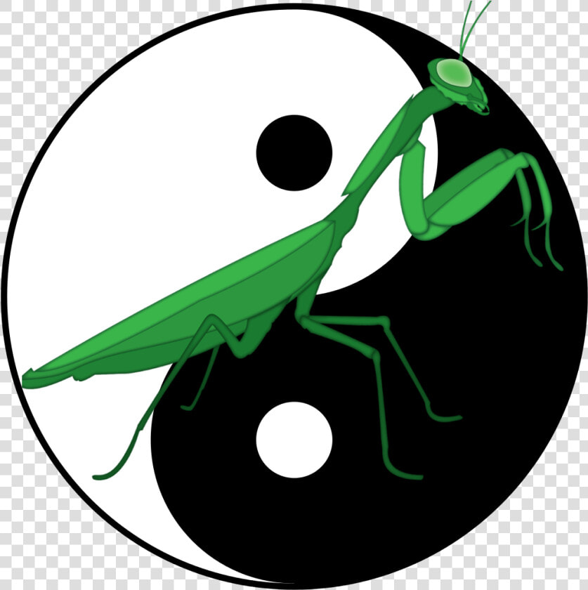 Transparent Mantis Png   Praying Mantis Kung Fu Logo  Png DownloadTransparent PNG