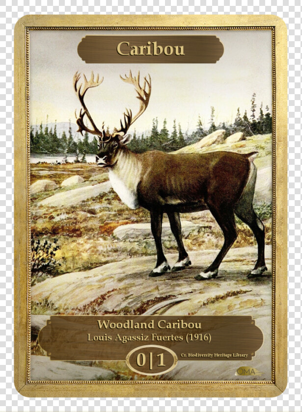 Caribou Token Mtg  HD Png DownloadTransparent PNG