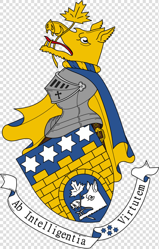 Transparent Cartoon Arms Png   Coat Of Arms  Png DownloadTransparent PNG