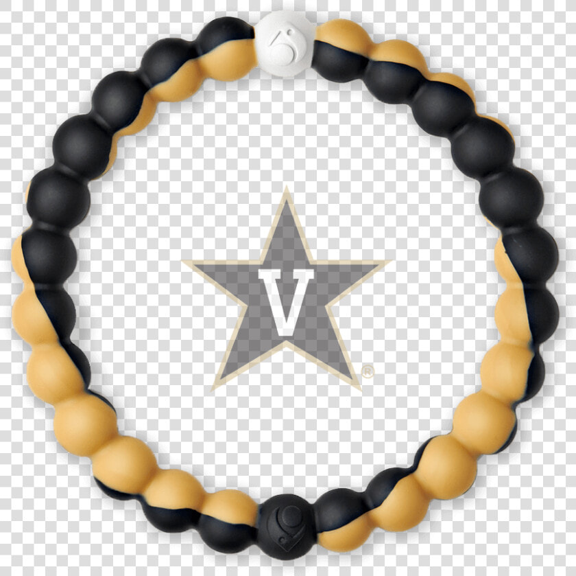 Slider Image 1 A   Bruins Lokai  HD Png DownloadTransparent PNG