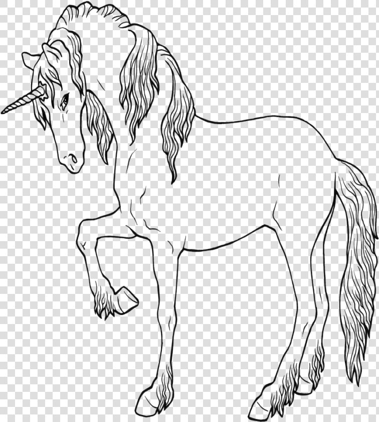 Unicorn Ausmalbild Drawing Coloring Book Dibujo De   Line Art  HD Png DownloadTransparent PNG