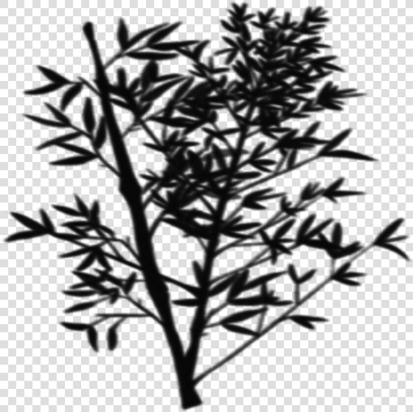 Transparent Bush Silhouette Png   Twig  Png DownloadTransparent PNG