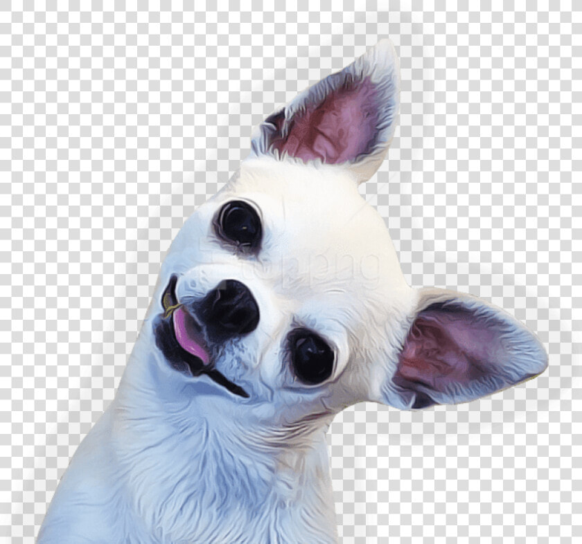 Download Side Png Images   Png Chihuahua  Transparent PngTransparent PNG