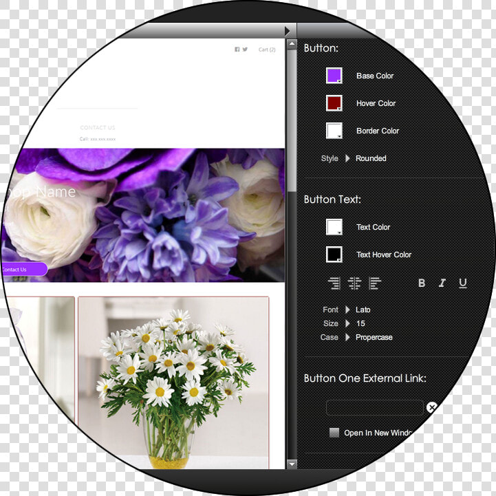 Florist Websites Designer   Daisy  HD Png DownloadTransparent PNG