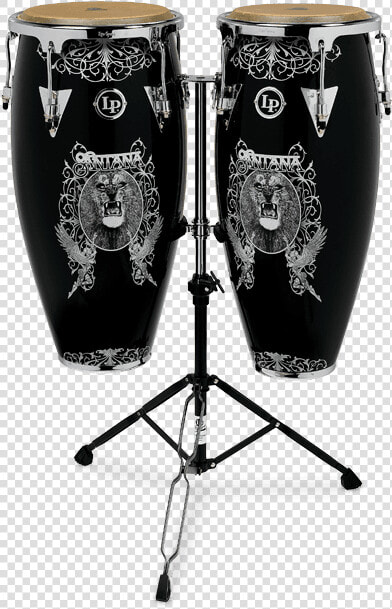 Transparent Congas Png  Png DownloadTransparent PNG