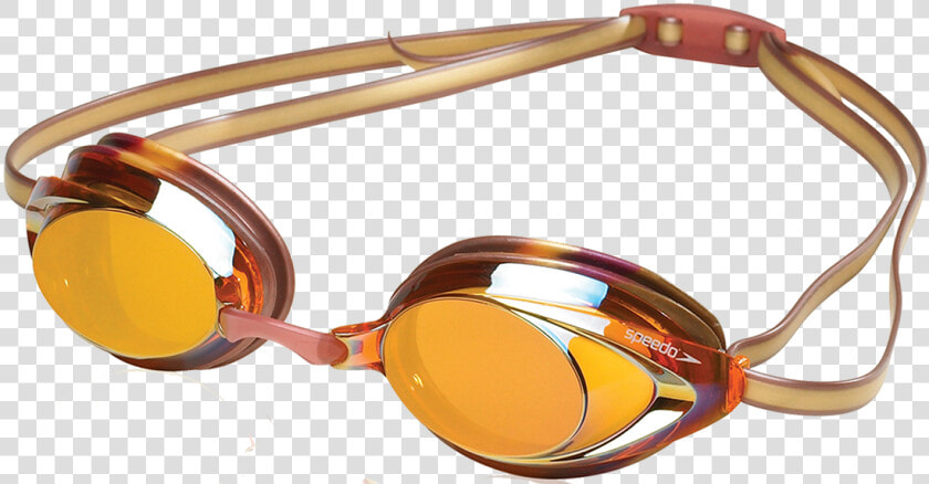 Speedo Maroon And Gold Vanquisher   Glasses  HD Png DownloadTransparent PNG