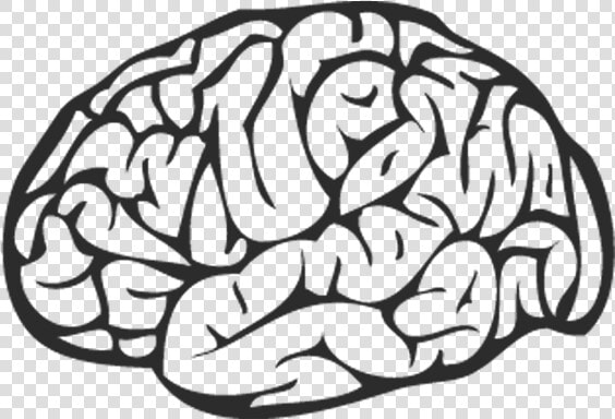 Brain Png Black   Brain Black And White Png  Transparent PngTransparent PNG