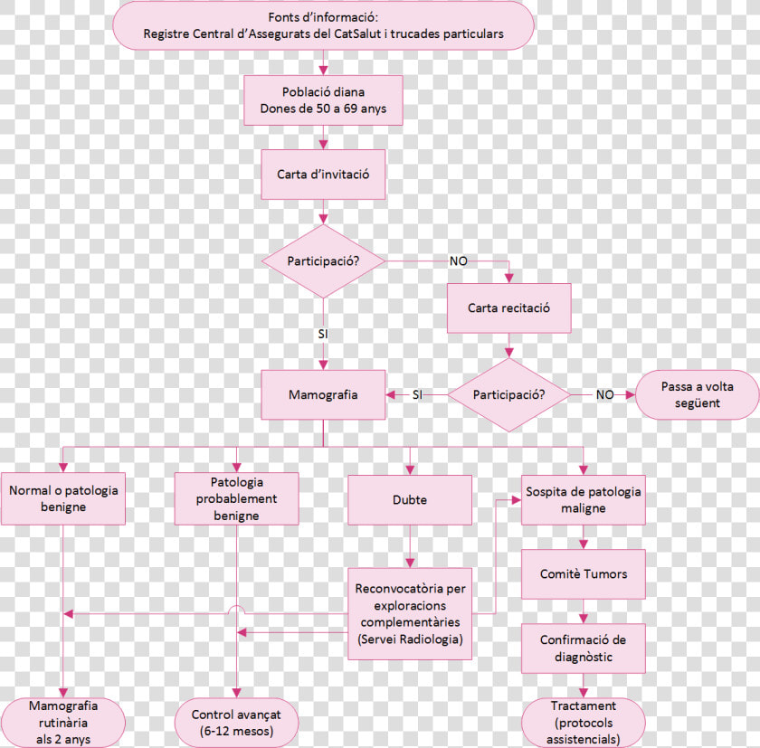 Esquema De Cancer De Mama  HD Png DownloadTransparent PNG