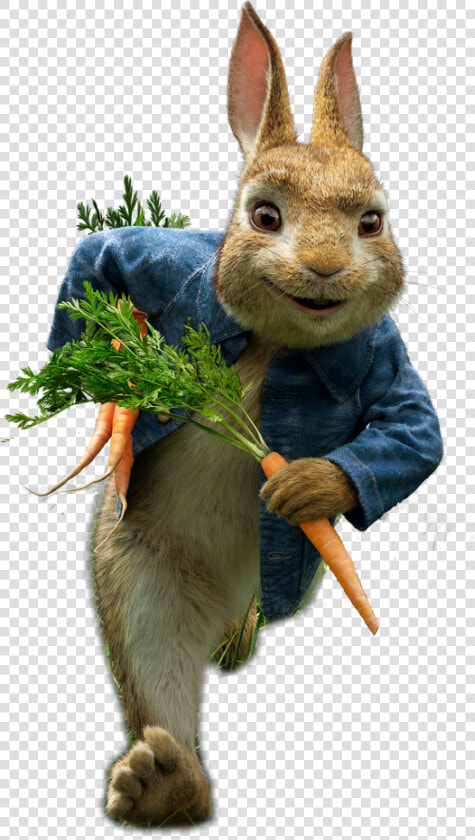 Peter Rabbit 2   Png Download   Peter Rabbit Movie Png  Transparent PngTransparent PNG