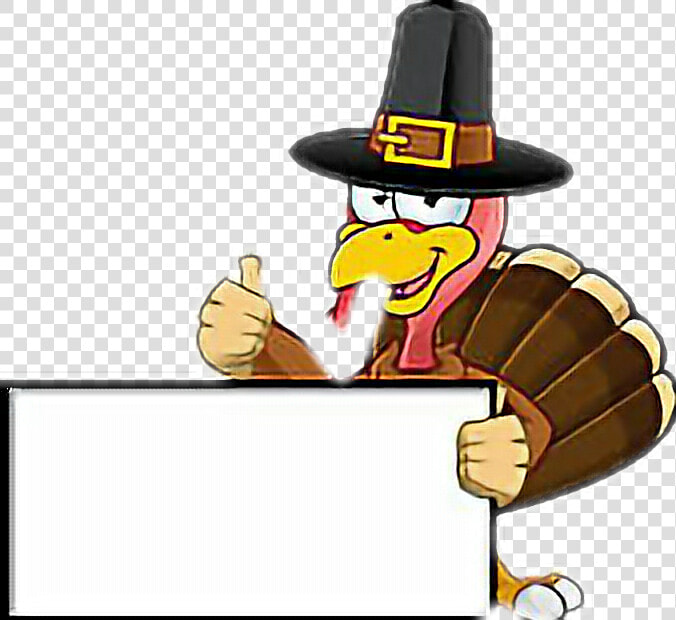  turkey Pavo Thanksgiving   Cartoon Turkey Holding Sign  HD Png DownloadTransparent PNG