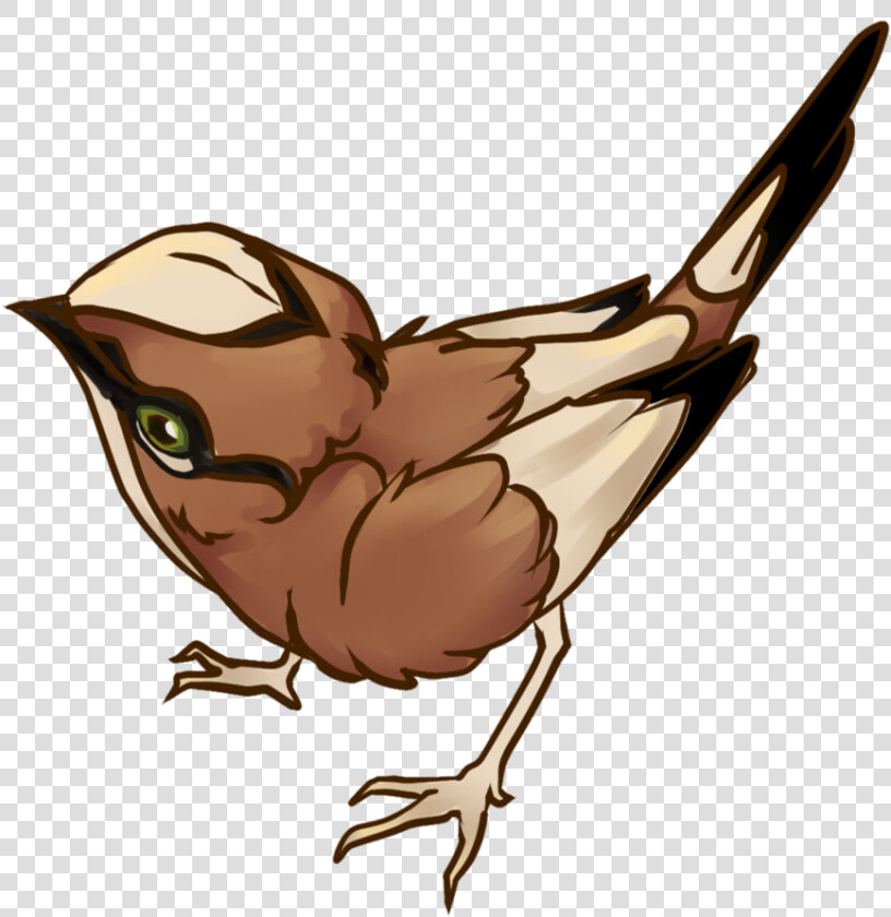 Hummingbird Clipart Sparrow   Perching Bird  HD Png DownloadTransparent PNG