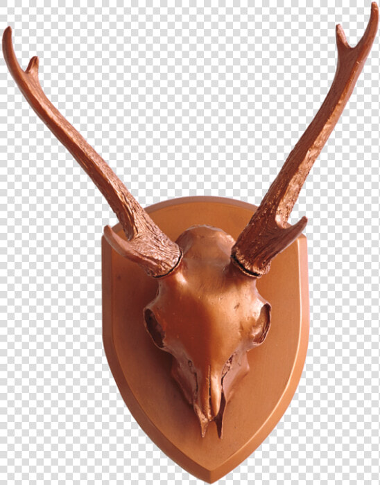 Gold Leaf Design Group Resin Mule Deer Skull With Antlers   Reindeer  HD Png DownloadTransparent PNG