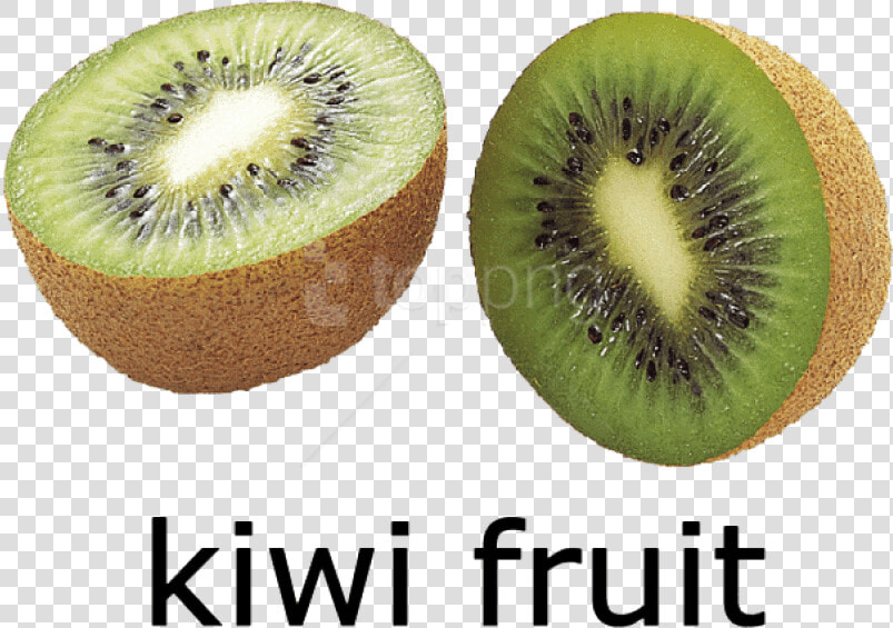 Free Png Kiwi Fruit Png Images Transparent   Kiwi Images With Name  Png DownloadTransparent PNG