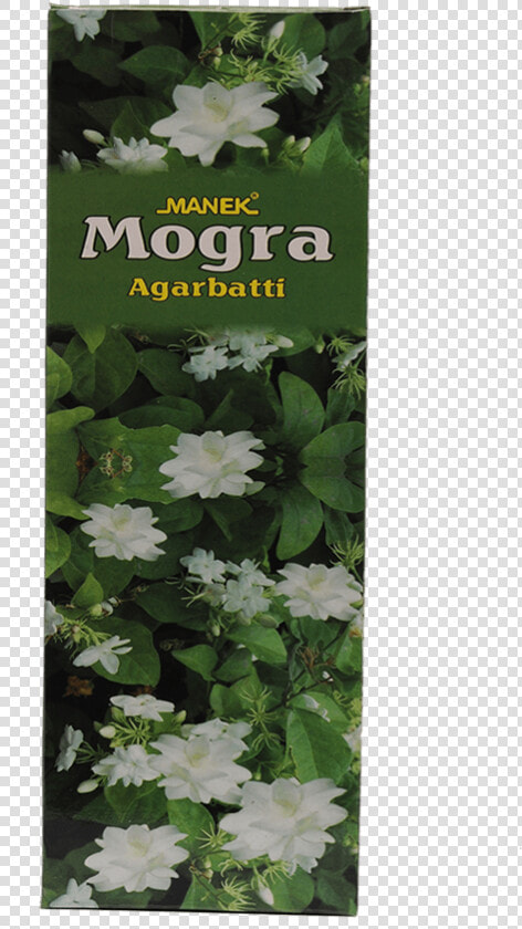 Manek Agarbatti Manufacturers   Png Download   White Trillium  Transparent PngTransparent PNG