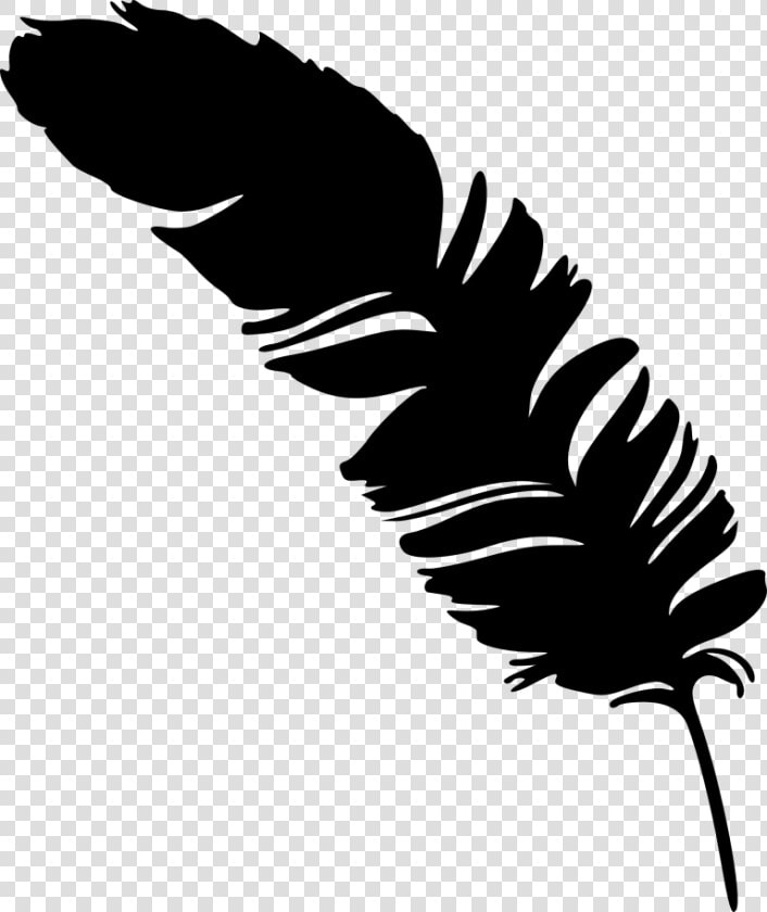 Eagle Feather Vector   Feather Silhouette Png  Transparent PngTransparent PNG